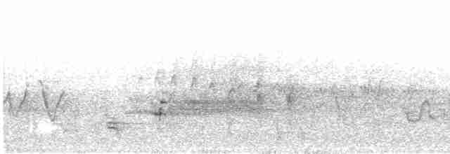 Черногорлая хвойница - ML619346370