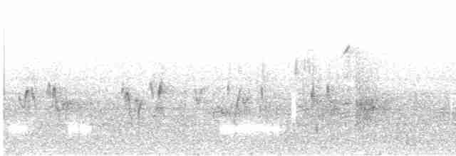 Черногорлая хвойница - ML619346372