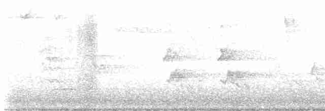 Blackpoll Warbler - ML619346406