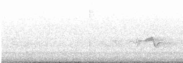 ויראו צהוב-גרון - ML619347521