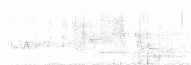 Черногорлая хвойница - ML619348132