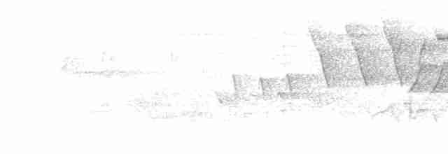 Cerulean Warbler - ML619348226