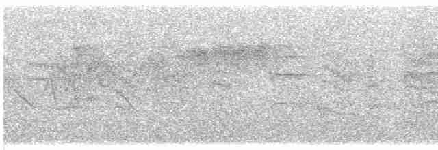 Пересмішник сірий - ML619348280