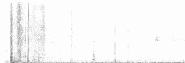 gullvingeparula x blåvingeparula (hybrid) - ML619348379