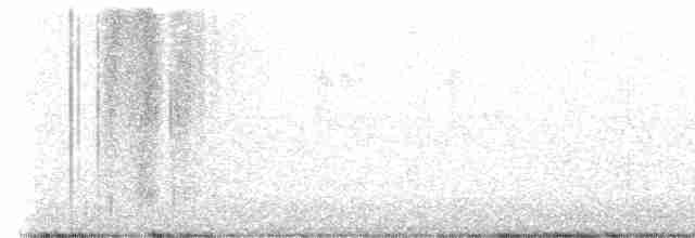 Paruline à calotte noire - ML619349285