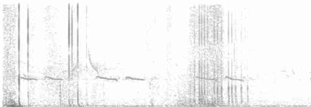 Common Redshank - ML619349934