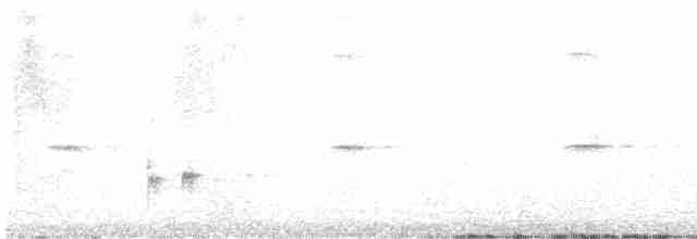 Gri Boğazlı Sinekkapan - ML619350411