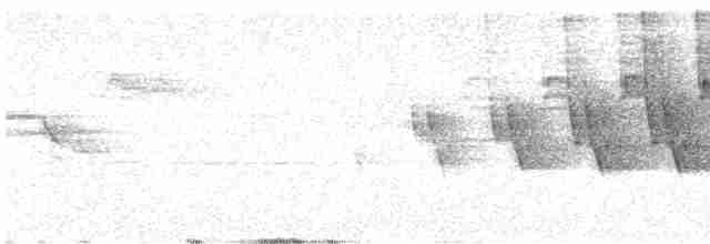 Paruline couronnée - ML619350444