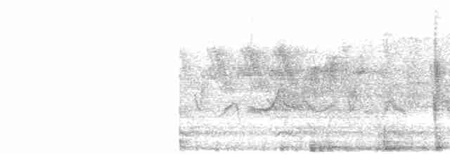 Пересмішник сірий - ML619350636