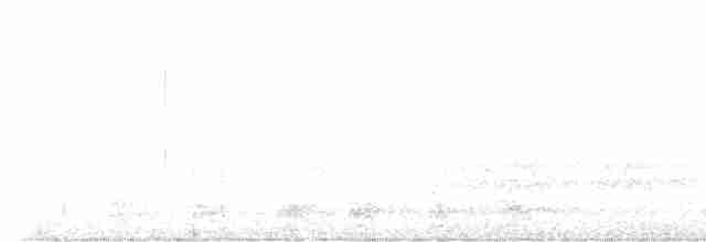 Cuervo Grande - ML619350682