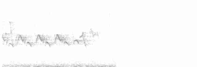Paruline à croupion jaune - ML619350690