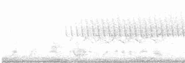 Малая воробьиная овсянка - ML619350701