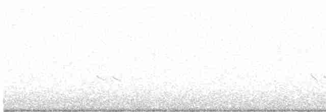 kortnebbekkasinsnipe - ML619350711