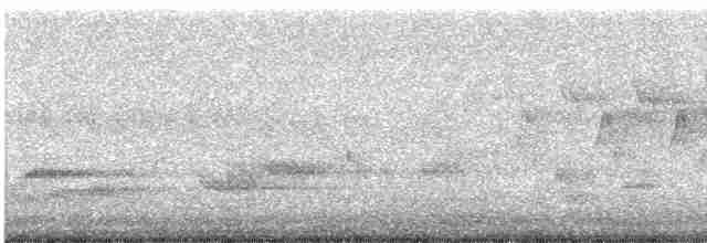 גיבתונית לבנת-גרון - ML619350714