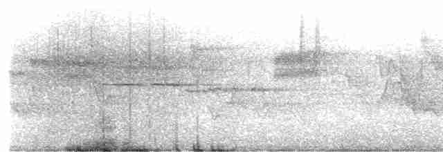 Дрізд-короткодзьоб плямистоволий - ML619350726