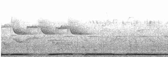 holub hřivnáč - ML619350773