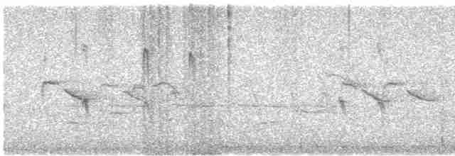 Шишкар сосновий - ML619351101