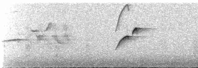 Batı Amerika Sinekkapanı (occidentalis/hellmayri) - ML619351175