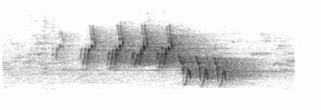 Черногорлая хвойница - ML619351365