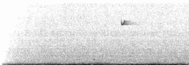 Batı Amerika Sinekkapanı (occidentalis/hellmayri) - ML619351543