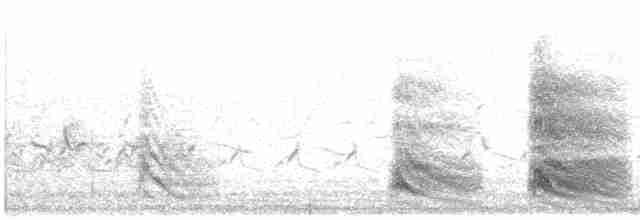 紅嘴山鴉 - ML619351567