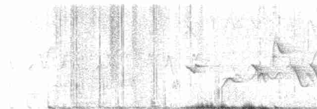 Oriole des vergers - ML619351857