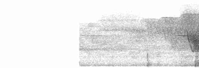 Сероголовый виреон - ML619352188