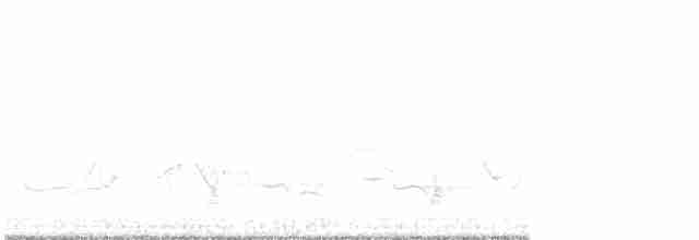 Розовогрудый толстонос - ML619352460