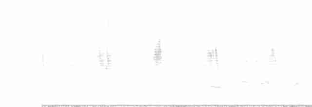 Hirondelle bicolore - ML619352652