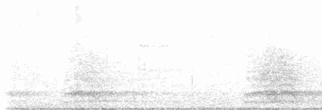 Cuervo Grande - ML619352749