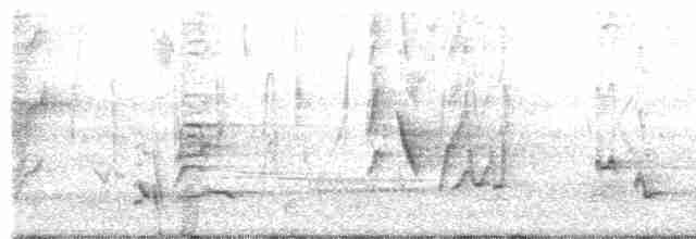 drozdec černohlavý - ML619352795