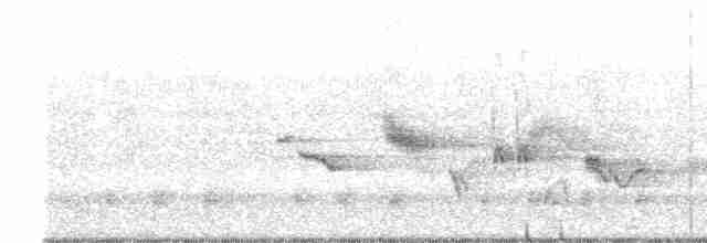 Oriole des vergers - ML619352820