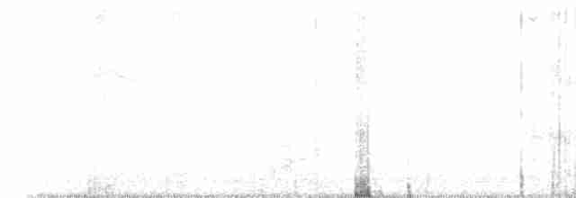 Певун-червеед - ML619352918
