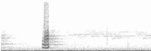 Чирок-свистунок (Американский) - ML619353075