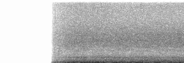 Ширококрылый канюк - ML619353523