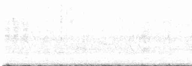 Troglodyte à bec court - ML619353617
