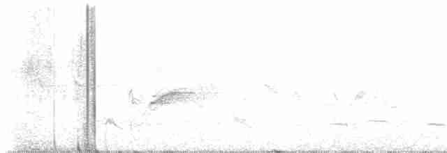 טואי אדום-עין - ML619354206