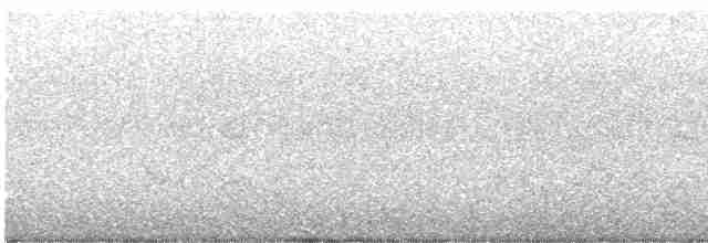 Oriole masqué - ML619354301