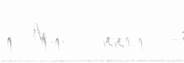 Шишкар ялиновий - ML619354636