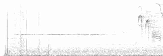 Дрізд-короткодзьоб малий - ML619354645