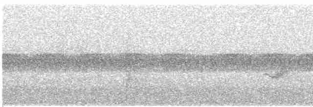 Дрізд-короткодзьоб бурий - ML619354736