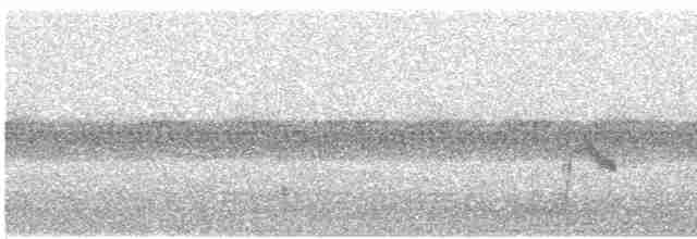 Дрізд-короткодзьоб малий - ML619354740