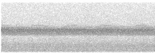 Дрізд-короткодзьоб Cвенсона - ML619354747