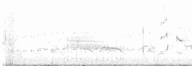 Troglodyte des marais - ML619354784