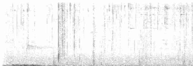 Чернокрылая пиранга - ML619354986