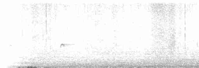 Набережник плямистий - ML619355288