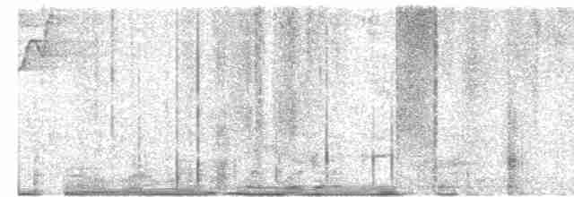 Дрізд-короткодзьоб Cвенсона - ML619355570
