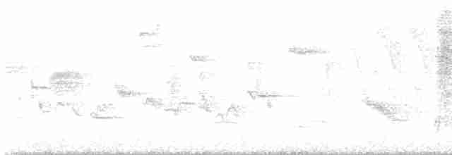 Лесной мухолов - ML619355713