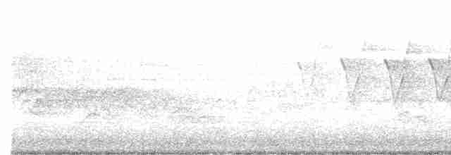 Reinita Protonotaria - ML619355747