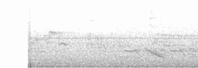 קיכלי חלוד-גב - ML619355771
